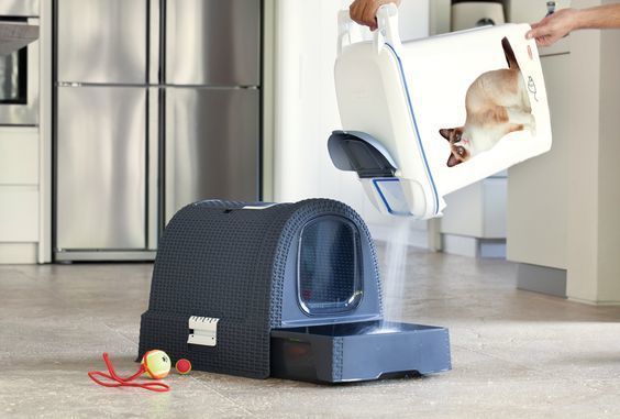 CURVER RATTAN WC za mačke - krem