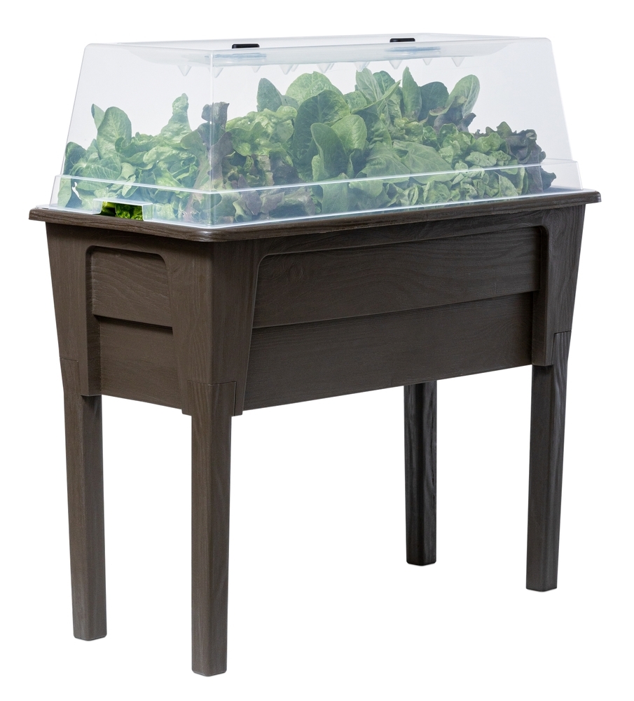 NIAGARA dvignjen plastični sadilnik - rjav