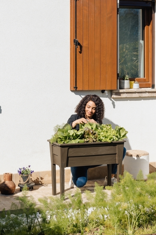 NIAGARA dvignjen plastični sadilnik - rjav