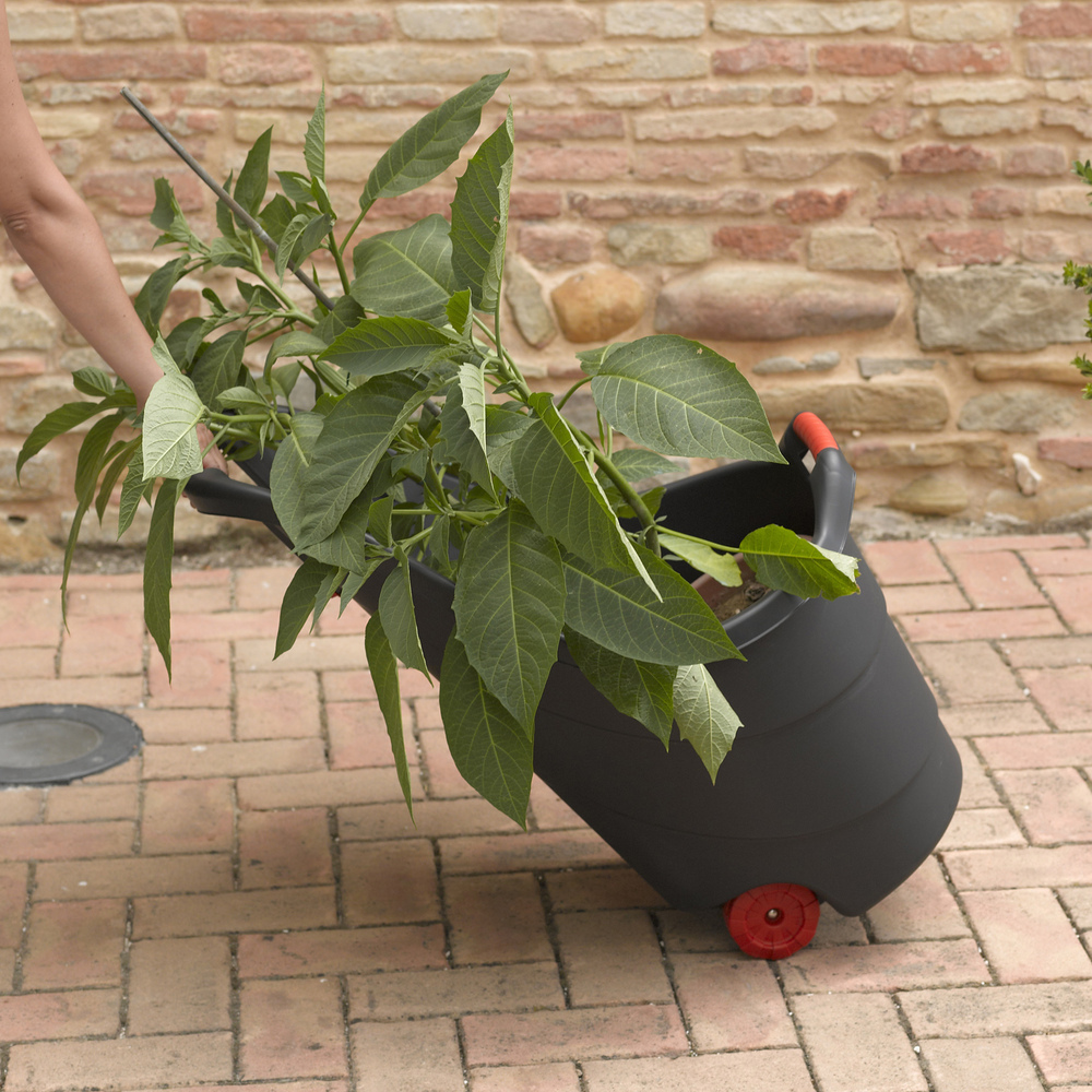 PROGRESS Vrtni plastični voziček - črn