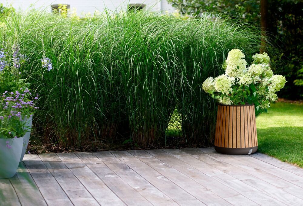 Posuda za cvijeće DECO CONIC