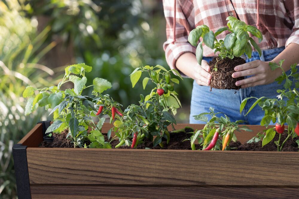 DECO ELEVATED GARDEN BED - Oreh
