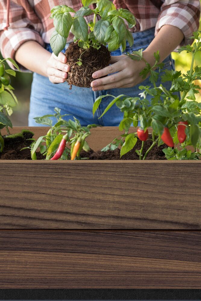 DECO ELEVATED GARDEN BED - Oreh