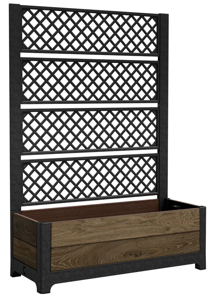 17214585 new 2026 tulip rhombus 2 12769 rgb